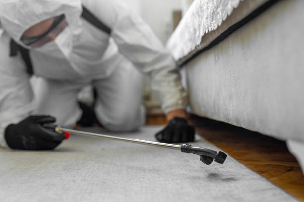 Professional Bed Bug Control technician working in Redwood Valley, CA