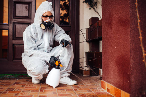 Reliable Bed Bug Control contractor in Redwood Valley, CA by Nex Pest Control